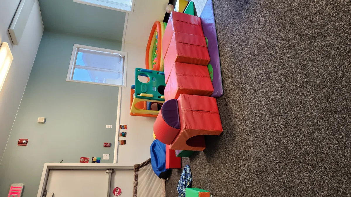 The Wild Roots sensory gym