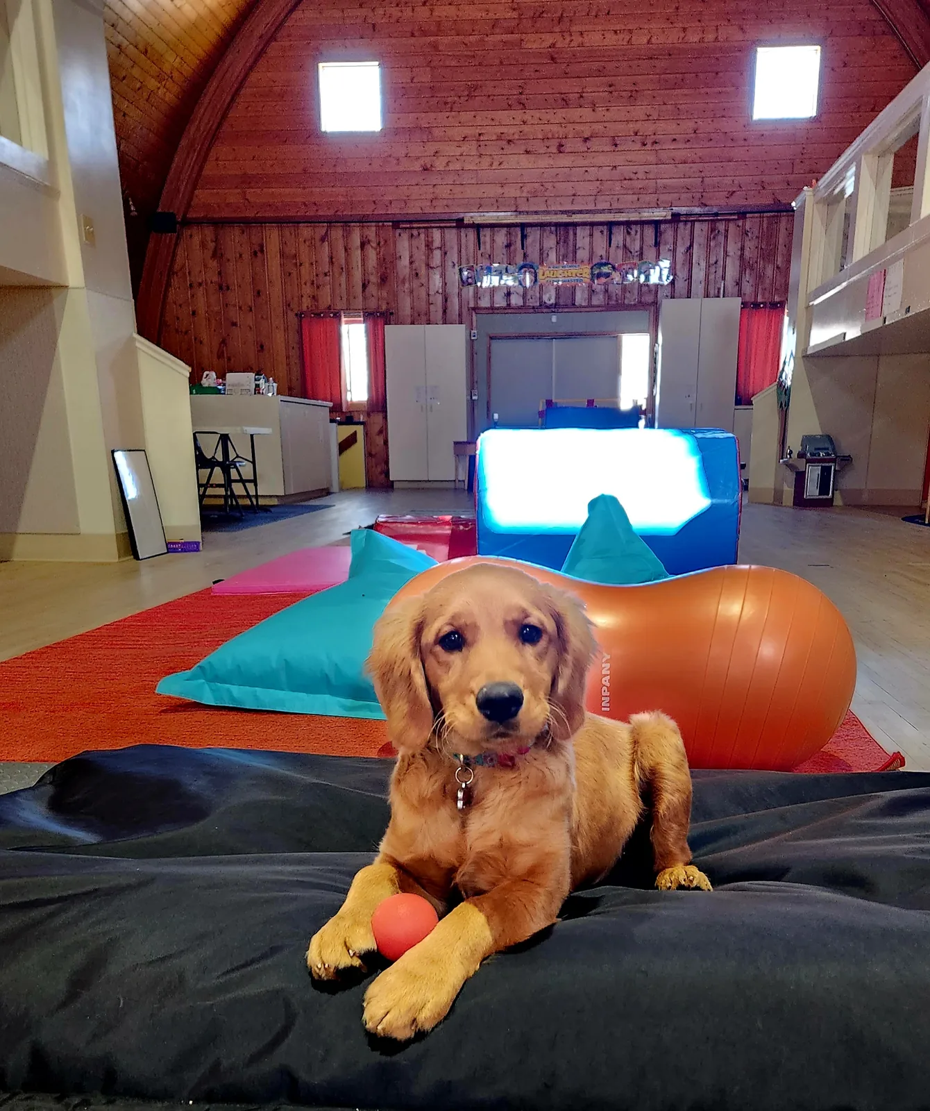 Child engaged in therapy activities